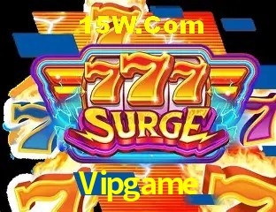 Segurança 2FA Vipgame