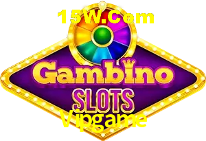 Live Casino Vipgame